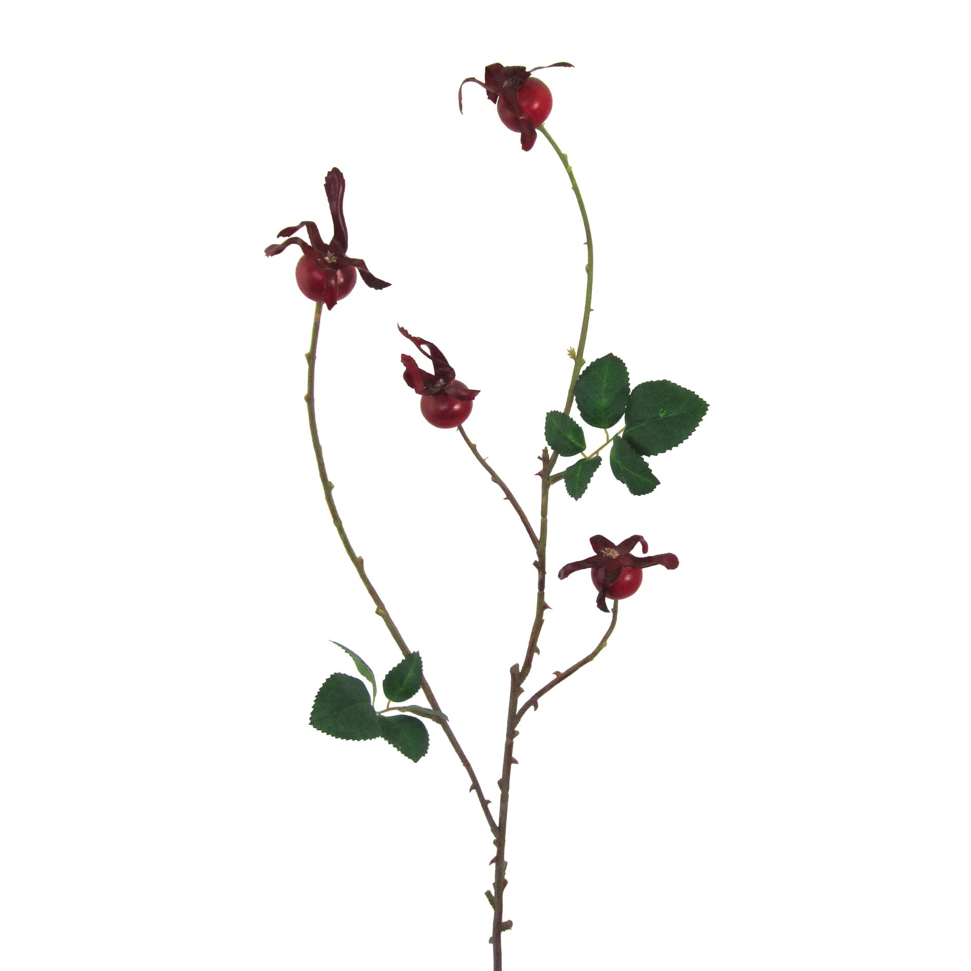 Amazon.de: Creativ home Knstlicher HAGEBUTTENZWEIG 86 cm. Beerenzweig,  Hagebutte, Heckenrose, Kunstbblume dunkelrot ROT.