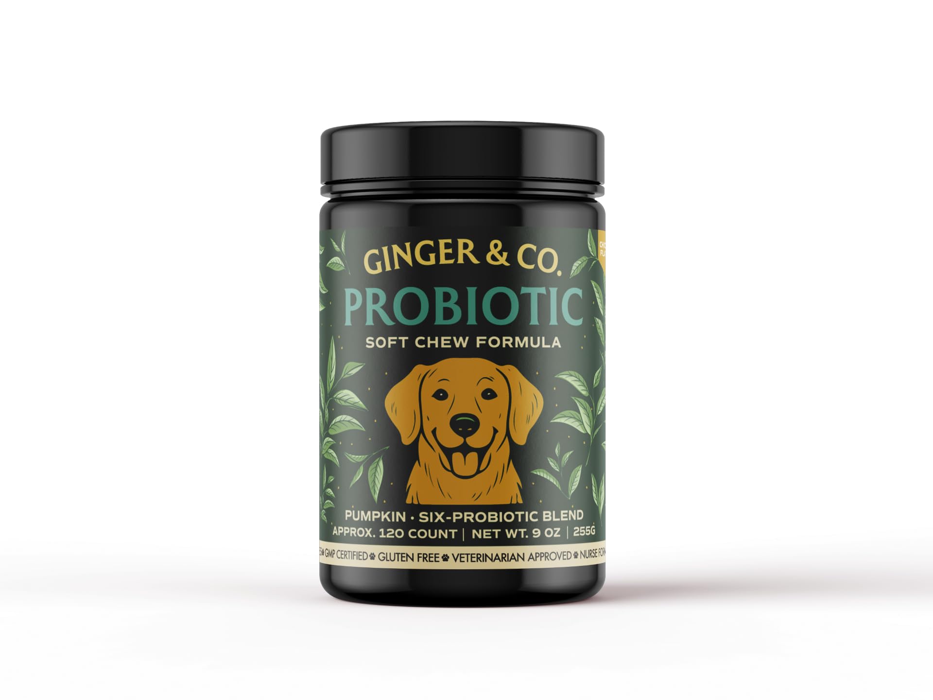 Ginger & Co Dog Probiotic Chews – Digestive Support for Loose Stool, Gas & Sensitive Stomach – Pumpkin, Enzymes & 1 Billion CFU Probiotics – Cold Pressed, No Fillers – Made in USA ~ 120 Chews