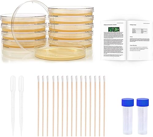 Kit de ciencia de bacterias Petri con agar e hisopos Kit de cultivo de bacterias del proyecto de la feria científica superior Placas de agar