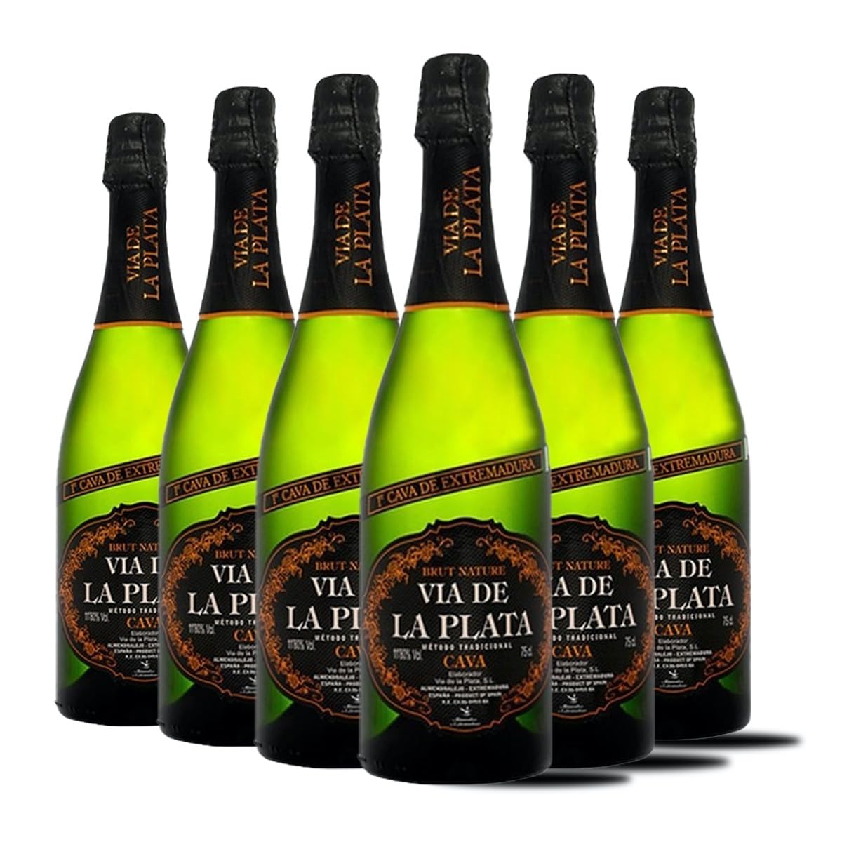 Cava via de la plata - brut nature - Mejor cava reconocido 2023 - Top ventas del año - superando cavas catalanes - 6 botellas 75cl
