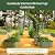 Vego Garden Modular Arched Trellis System 6.0' Long Trellis for 2.0‘ x 8.0' Garden Bed for Climbing Plants Like Cucumber Beans Tomatoes & Vines (Garden Beds Not Included)