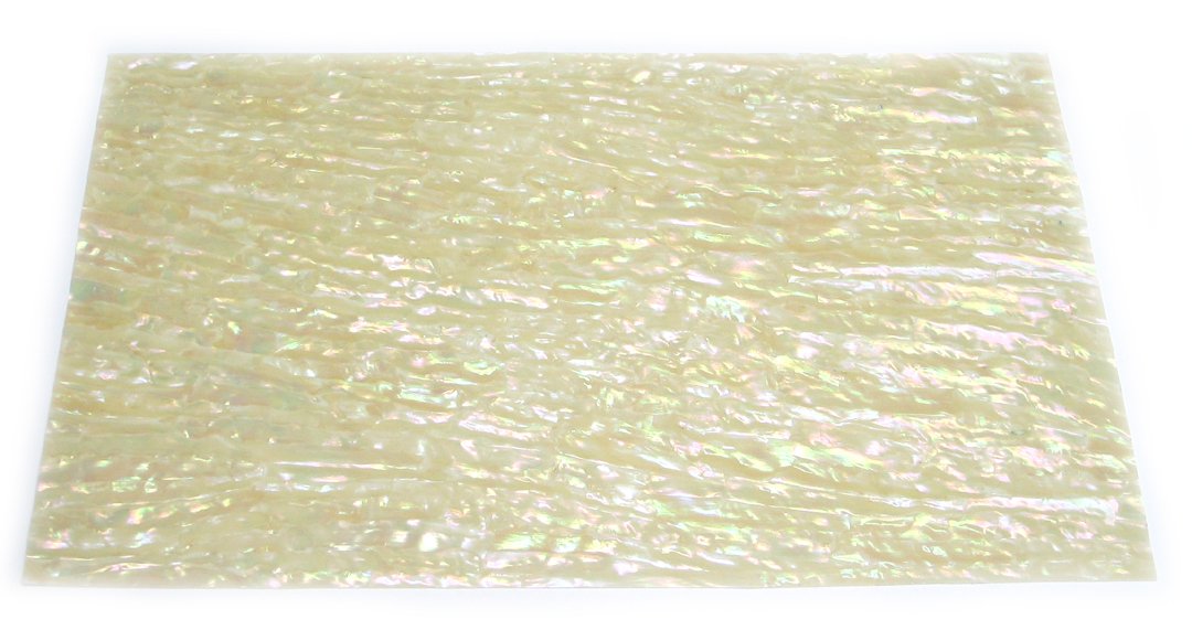 Amazon | アングル(ANGLE) シェルシート割入り Lサイズ NA