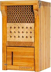 Mason Bee House Revestido com Cera Mason Bee Hive Inseto de Madeira Hotel Carpenter Bee House para Ambientes Externos Atrai Polinizadores de Abelhas Pacíficos para O Seu Jardim