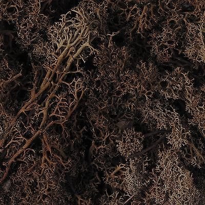 Scenic Lichen, Brown ,Javis, Model Railway / Wargaming,