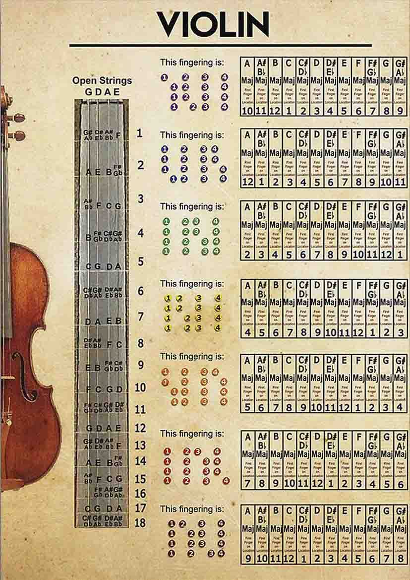 ARA STEP Vintage Knowledge Posters Musical Instruments Wall Decor Prints UNFRAMED. (297 x 420 mm / 11.7 x 16.5 inches, Violin Knowledge 2)