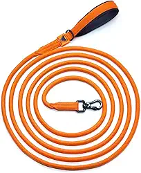 Guia Longa para Cães com Mosquetão, 5 Metros, Alça Neoprene, Múltiplas Cores, Fita Polipropileno Reforçada, para Passeio e Treinamento Adestramento. (LARANJA)