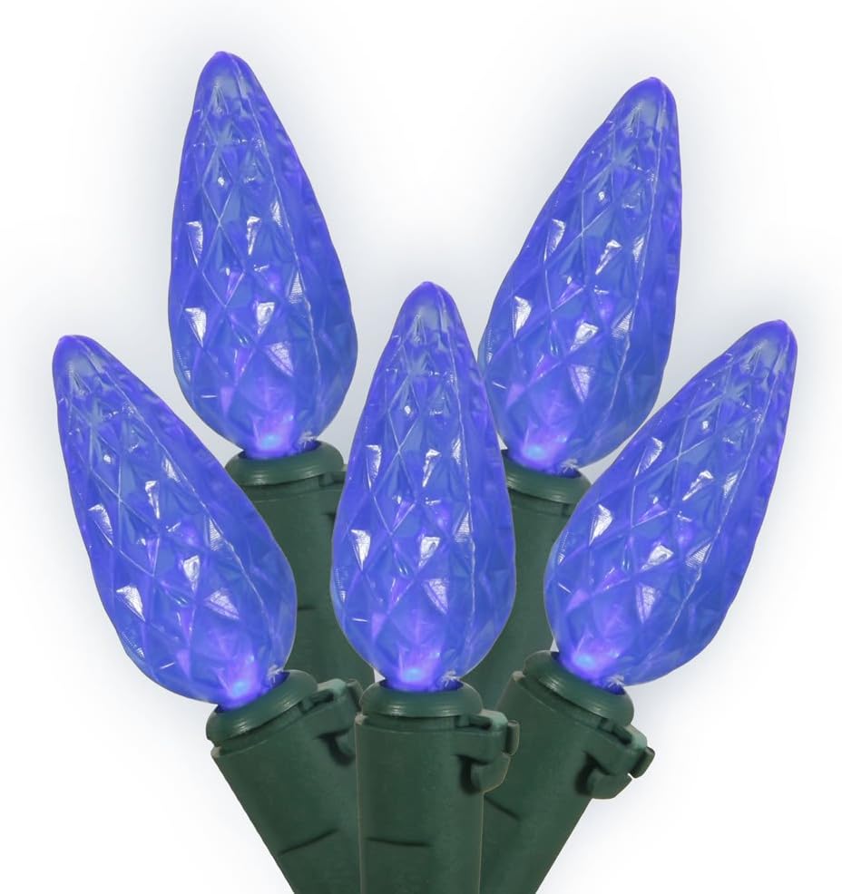 Vickerman 100 Light C6 LED Light Set Purple Lights on Green Wire