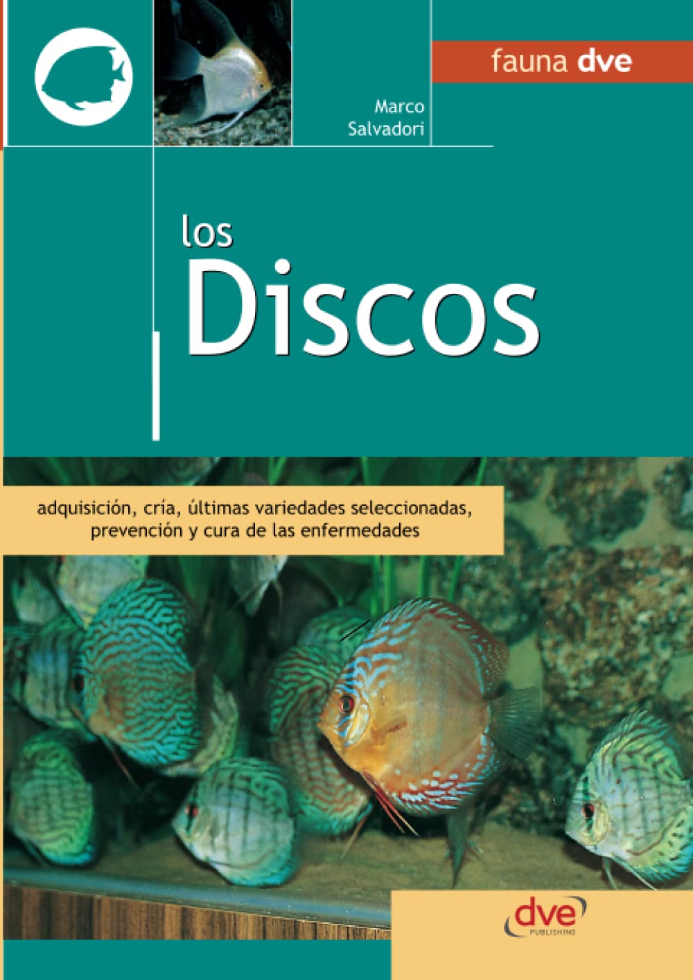 Los discos