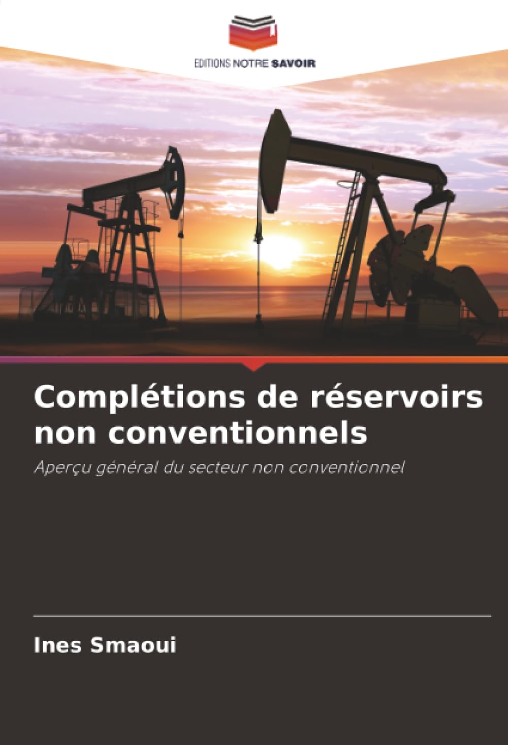 Complétions de réservoirs non conventionnels: Aperçu général du secteur non conventionnel