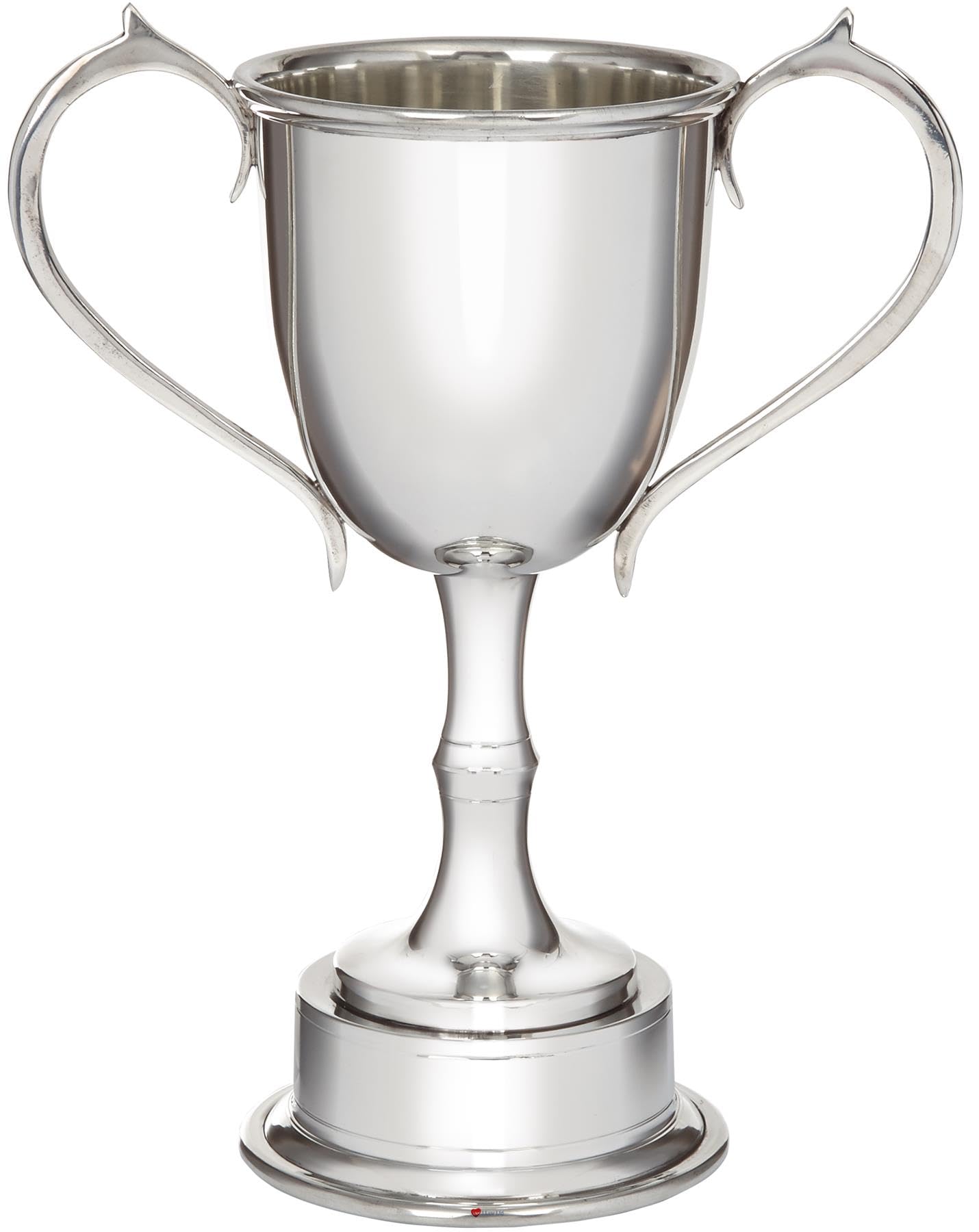 I LUV LTD Trofeo de Campeones Deportivos Estaño sobre Pedestal Integral 265 mm Brillante Pulido Finalizar Accesorios Deportivos Posibilidad de Grabado