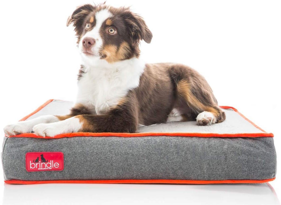 Brindle Waterproof Designer Memory Foam Pet BedRemovable
