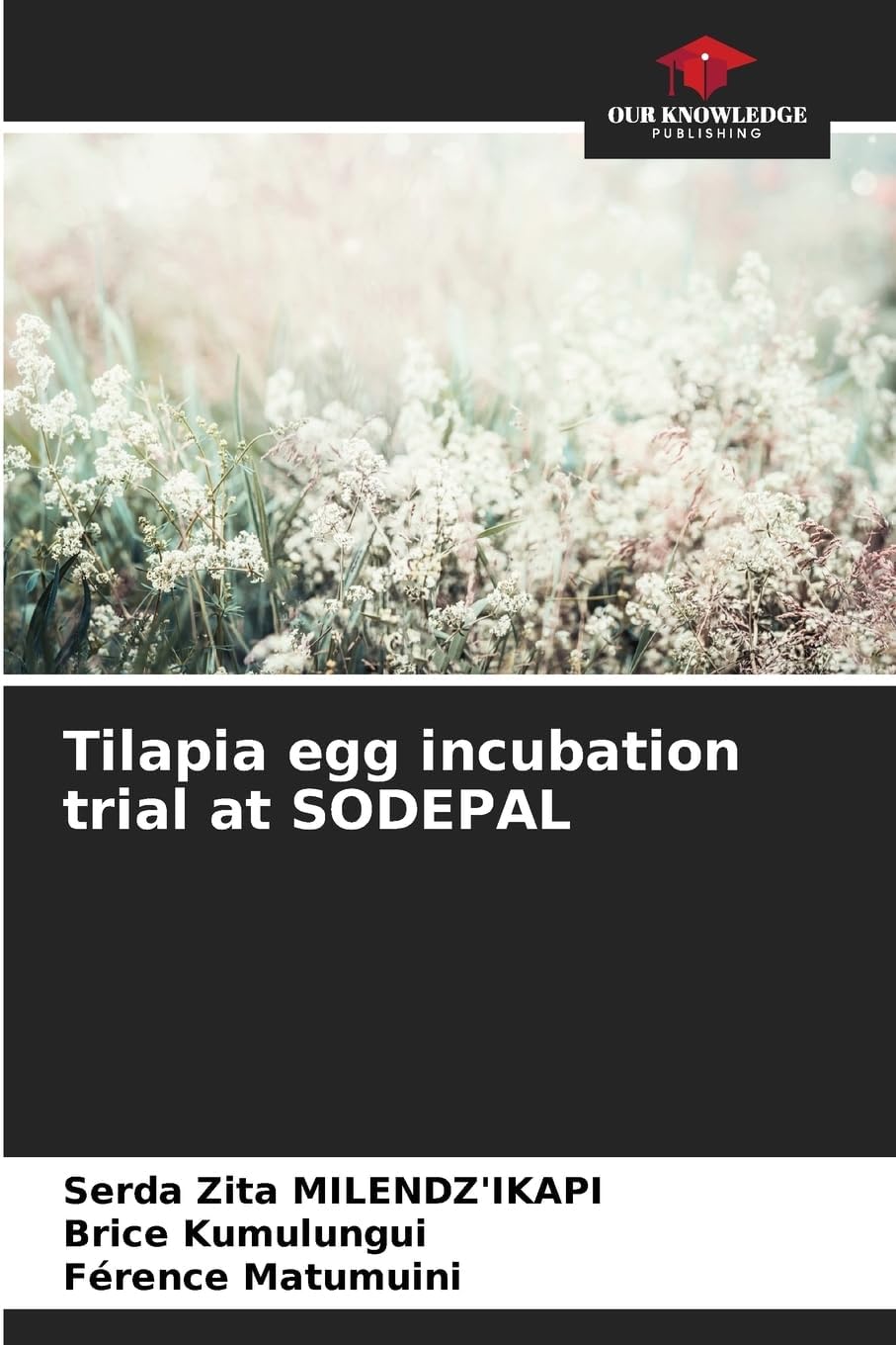 Tilapia egg incubation trial at SODEPAL