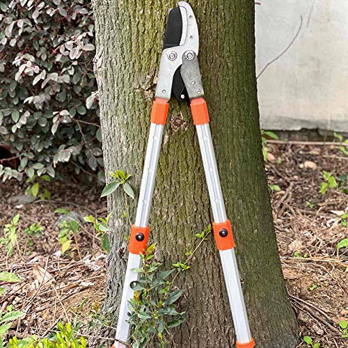 Best Manual Hedge Trimmers in USA Bestie Talks