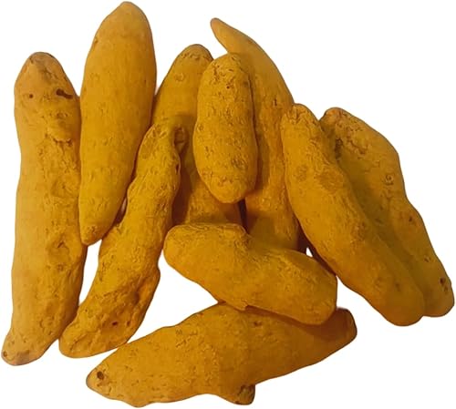 BHAVICREATION Cúrcuma entera Haldi Ki Ganth para Puja Cúrcuma entera para Pooja 10 piezas Saubt Haldi Tumeric Dedos Tuméricos Enteros Haldi Gatiya