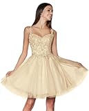 Sparkly Lace Appliques Homecoming Dresses 2025 Spaghetti Straps Tulle Short Prom Dress DAMA Dresses for Quinceanera