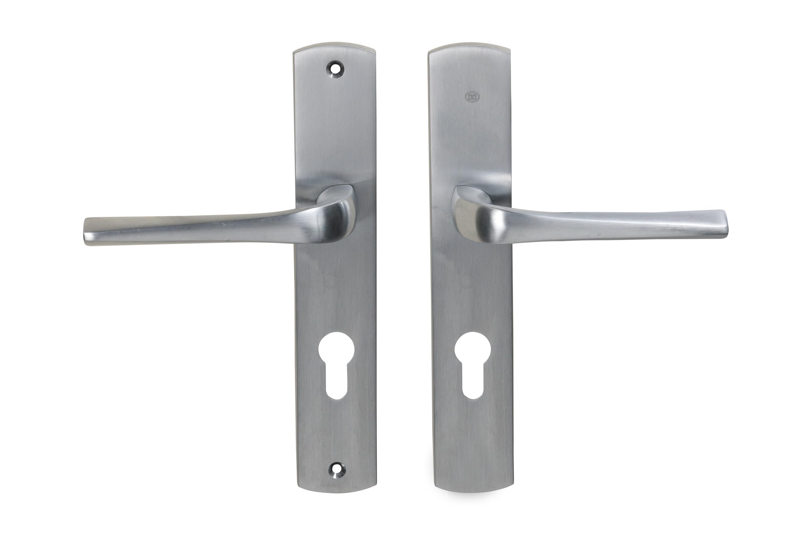 Bricard 879051 Pair of Handles Satin Chrome Zamack on Evidence Plate, Front Door
