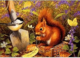 MXJSUA 5D Diamond Painting by Number Kits Full Diamond Painting Kits for Adults, 5D Diamond Arts Kits Adults DIY Full Round Drill Diamond Painting Picture Art for Home Decor Squirrel and Bird 30x40 cm