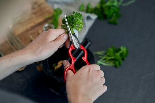 Foto von ZWILLING Vielzweckschere, Universalschere, Länge: 20 cm, Rostfreier Spezialstahl, Küchenhilfe, Silber/Rot [Made in Germany]