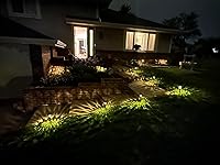 Review Image by Emily Emily