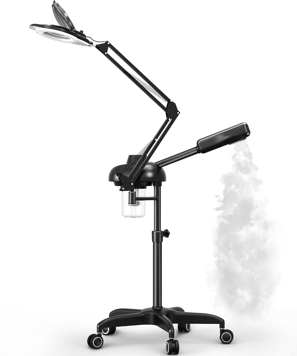 TASALON Professional 2 in 1 Hot Ozone Facial Steamer Black with 5X Magnifying Lamp, Opens Pores, Helps Dry Skin and Increa... - Review, Price and Buying Guide