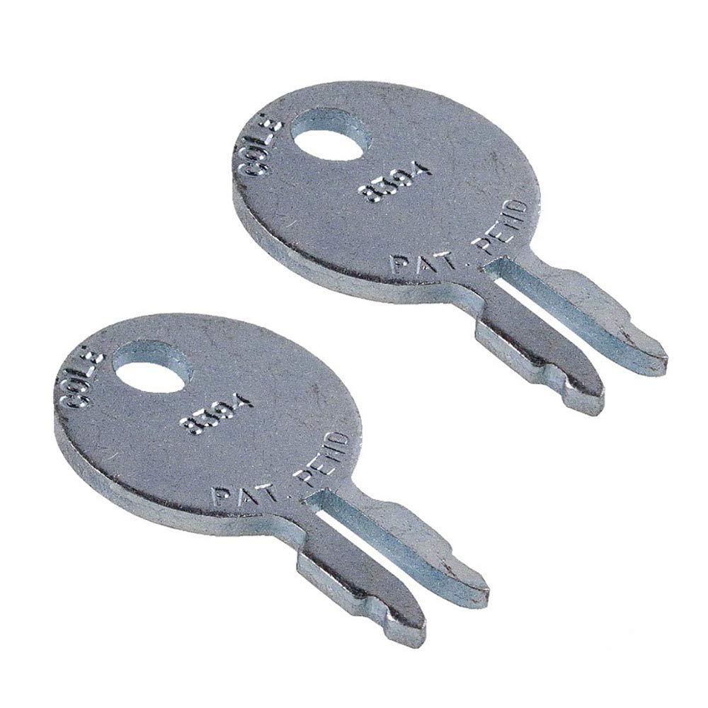 RAParts 180292M1 (2) Pack of Keys for Ignition Switch 180681M93 Fits Massey Ferguson 35 50 65 85 TO20 TO30