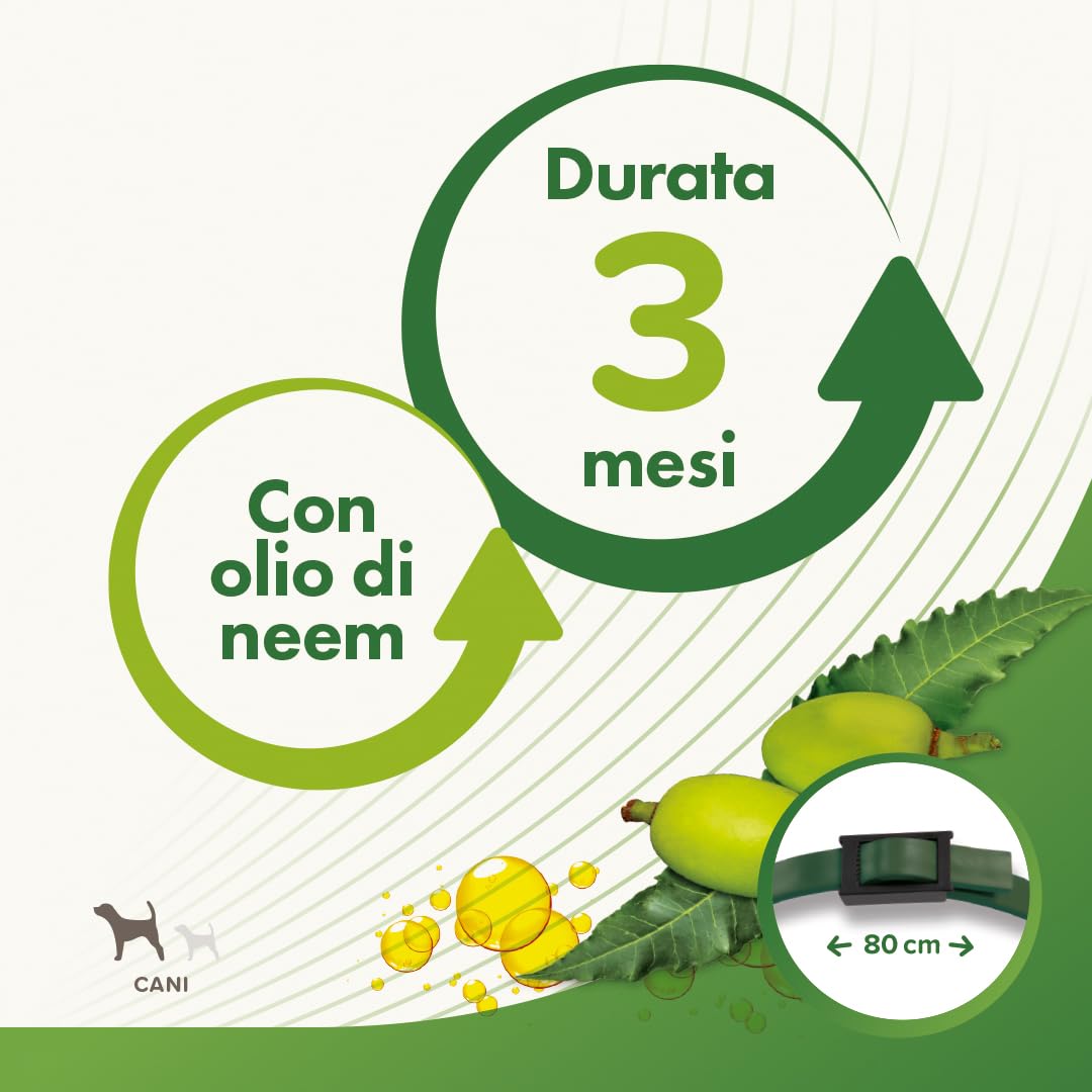 Beaphar Protezione Naturale, Collare Scudo Regolabile per Cane Grande, con Olio di Neem, Fino a 3 Mesi di Protezione, 80 cm