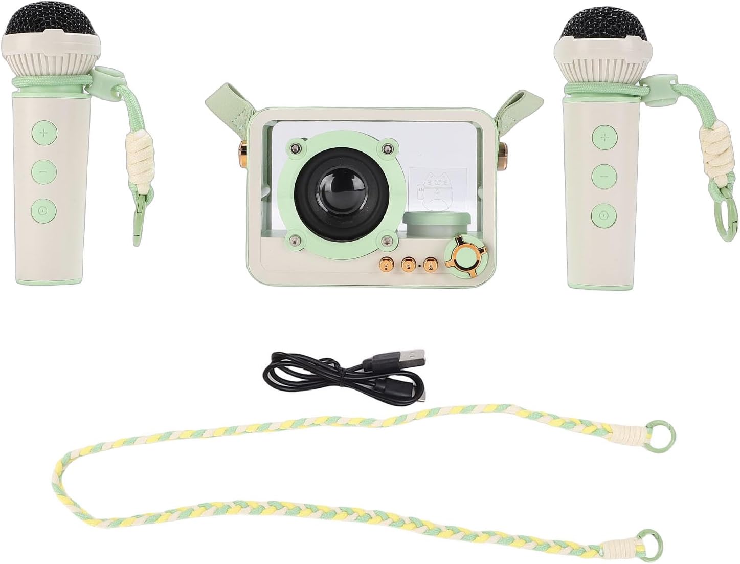 Portable Karaoke Machine, 2 Wireless Microphones & 10W Speaker with LED Lights for Home Party, Outdoor Travel (Light Green)