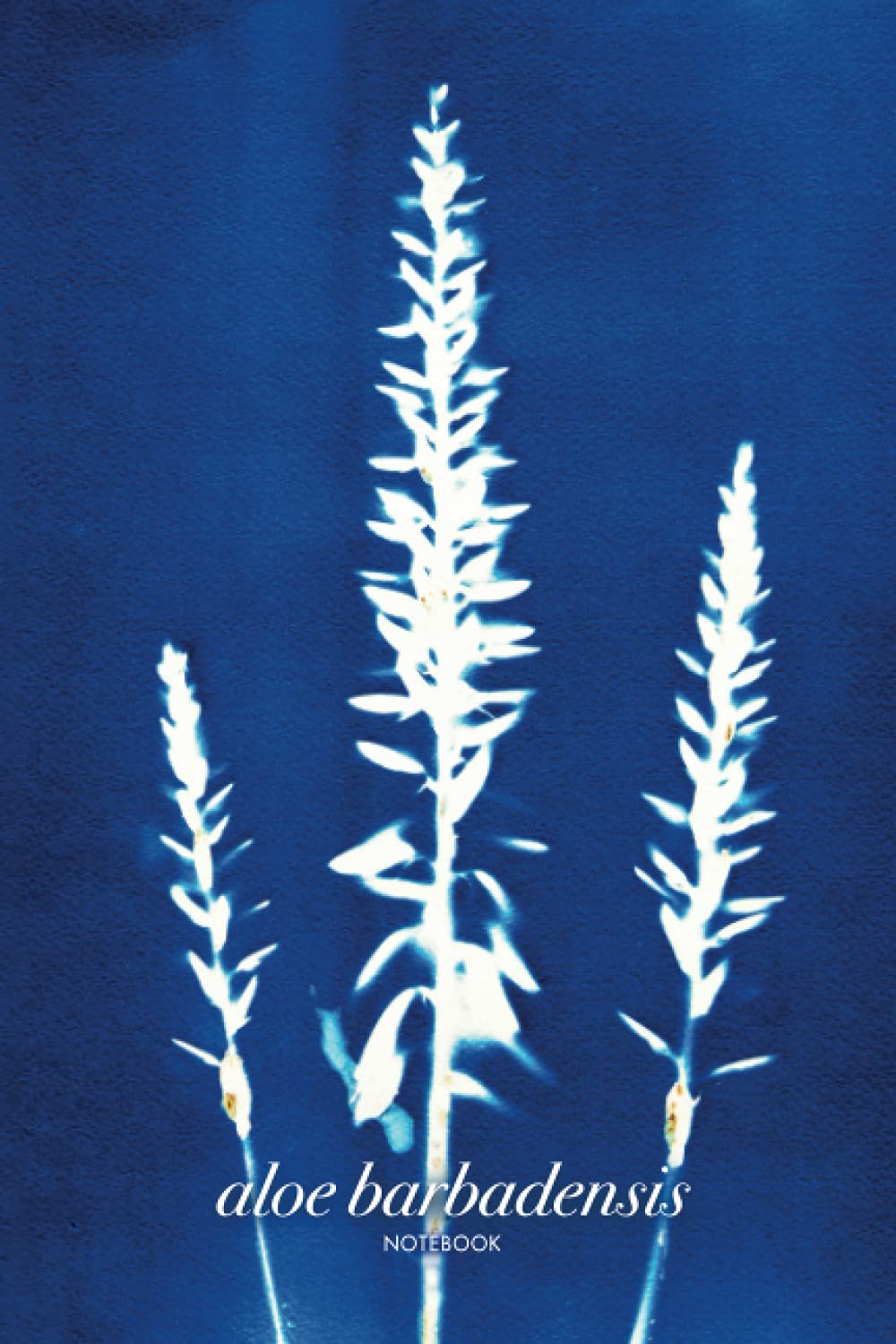 Independently published Libreta Bullet Journal. Aloe Barbadensis: Cubierta inspirada en las plantas y árboles del Mediterráneo con un bello Azul de Prusia. 100 páginas. 15,24 x 22,86 cm.