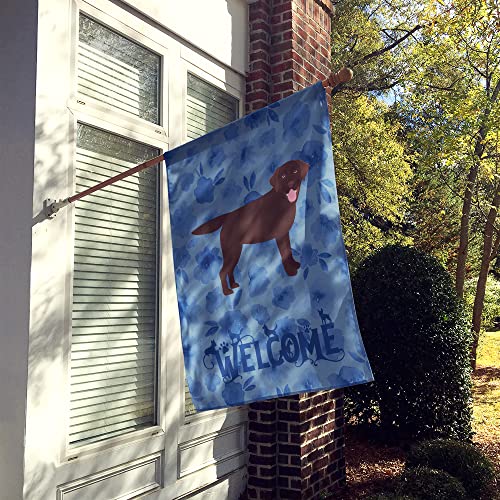 Caroline's Treasures CK6072CHF Chocolate Labrador Retriever Welcome House Flag Large Porch Sleeve Pole Decorative Outside Yard Banner Artwork Wall Hanging, Polyester, House Size, Multicolor by Caroline's Treasures - Used condition - US$28.25