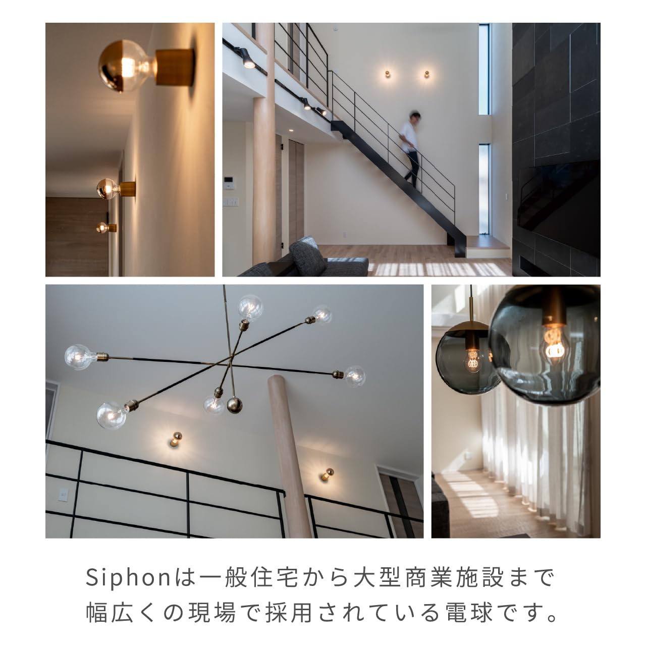 Amazon | ビートソニック OnlyOne(オンリーワン) LED電球 Siphon