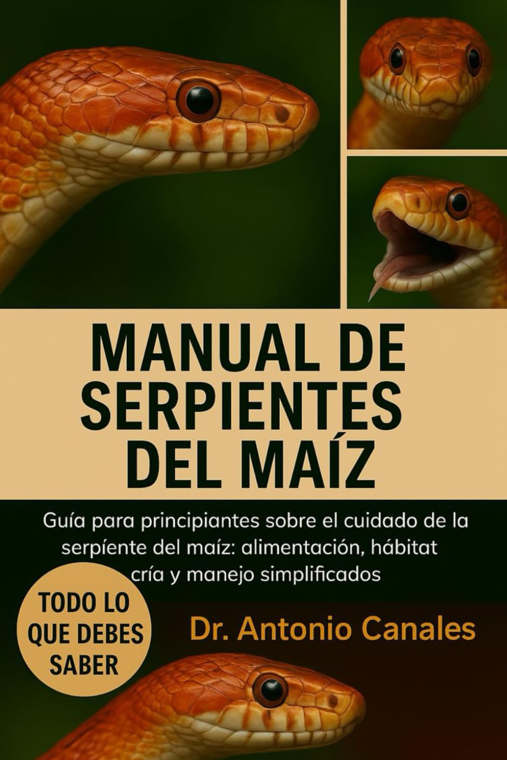 MANUAL DE SERPIENTES DEL MAÍZ: Guía para principiantes sobre el cuidado de la serpiente del maíz: alimentación, hábitat, cría y manejo simplificados