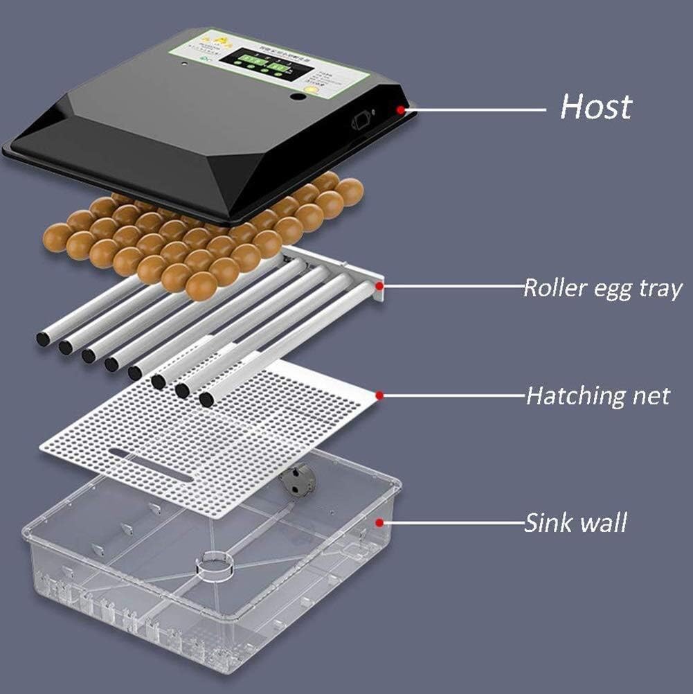 Automatic Incubator, 36 Eggs Hatcher Machine Temperature Control Automatic Turning/Humidification for Chickens Ducks Birds