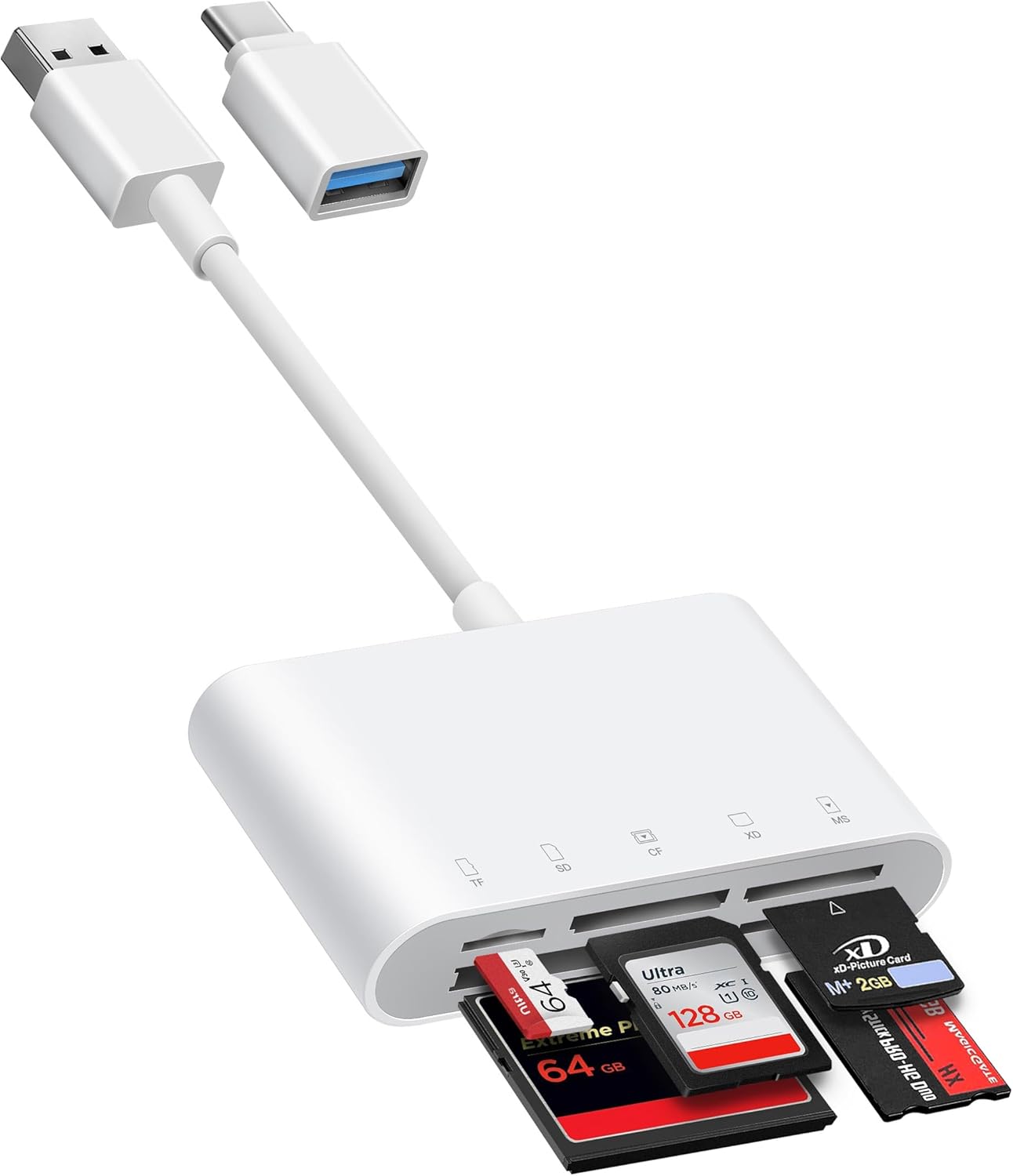 イラストでみる馬の病気 あいうえお】馬の解剖図譜＋競走馬の病気と