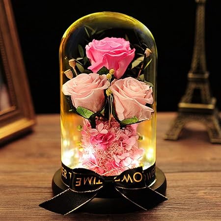 Amazon プリザーブドフラワー バラ ギフト ガラスドーム フラワーアレンジ クリスマス プレゼント 枯れない花 バレンタインデー フラワー ピンク 3輪バラ 母の日 結婚記念日 可愛い お祝い 誕生日 記念品 贈り物 出産内祝い 女性 妻 祖母 退職祝い ギフトボックス