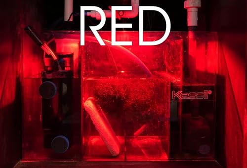 Miniatura 8 de Kessil Luz LED de cultivo de refugio de flora de atún H160