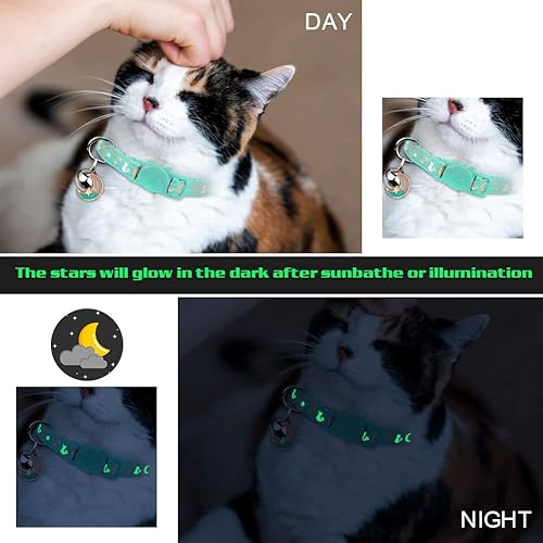 Miniatura 4 de 2 collares de gato con dije que brillan en la oscuridad (morado y verde azulado)