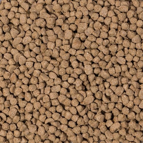 Beaphar Alimento para Hámster Enano 250g miniatura 2