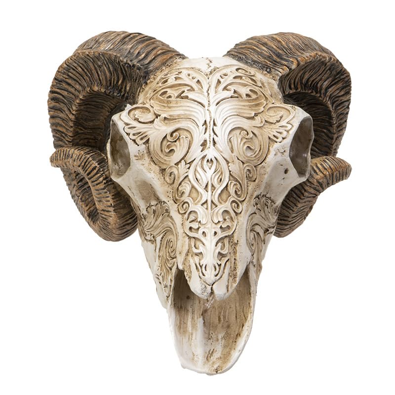 Amazon.com: Pacific Giftware Scrimshaw Ram Skull 7