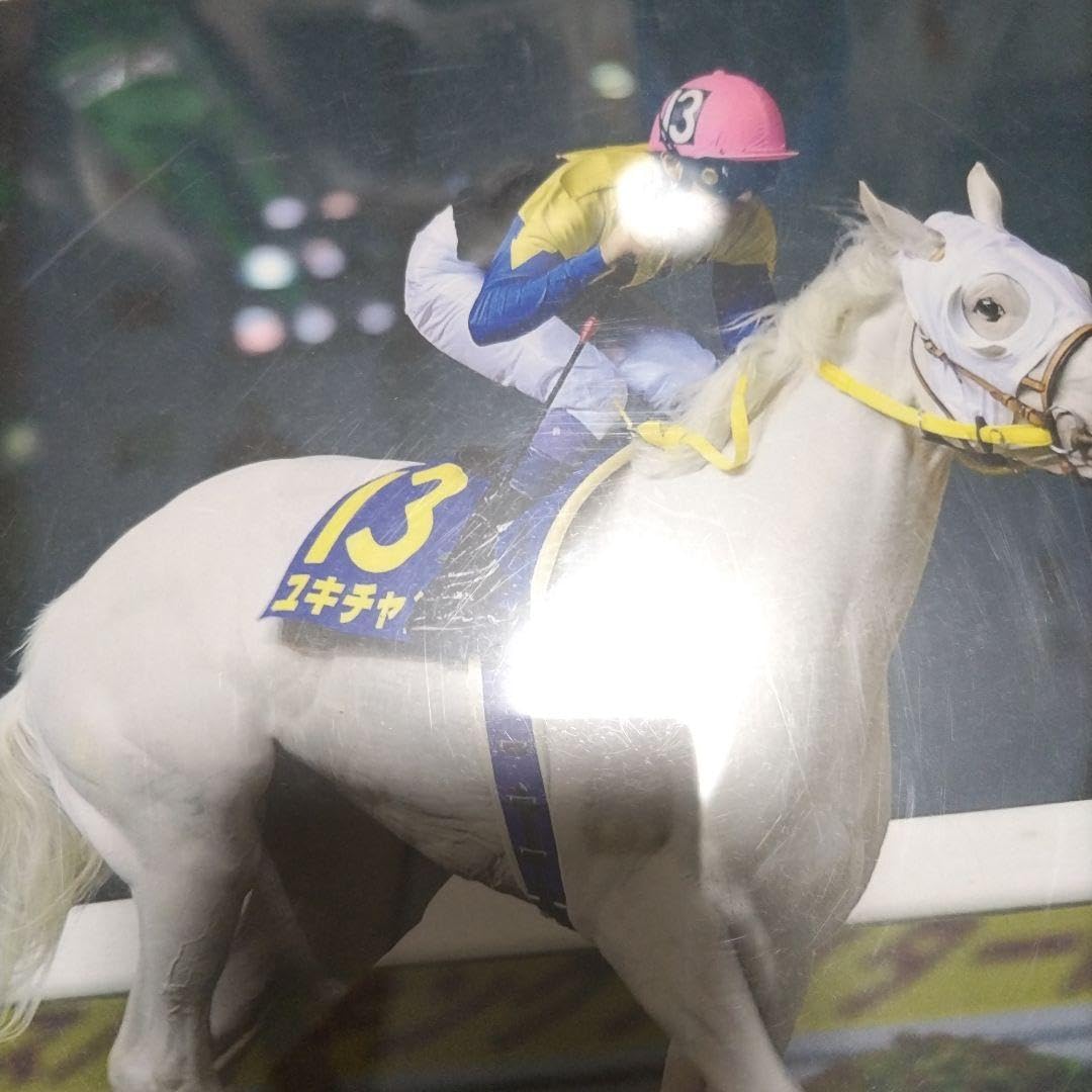 Amazon.co.jp: 珍品 競馬年間最多勝記録時の内田博幸騎手のサイン