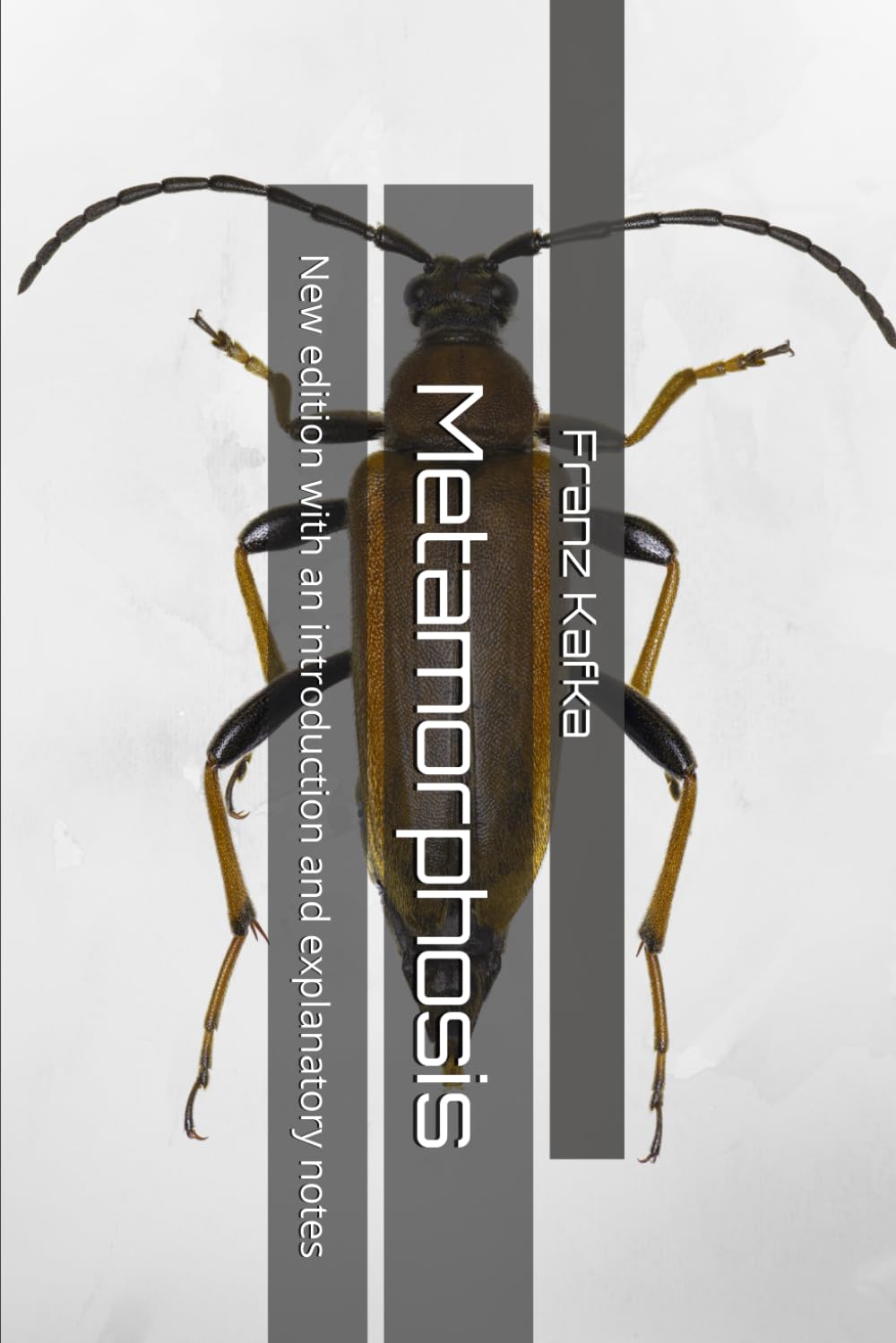 Metamorphosis: New edition with an introduction and explanatory notes