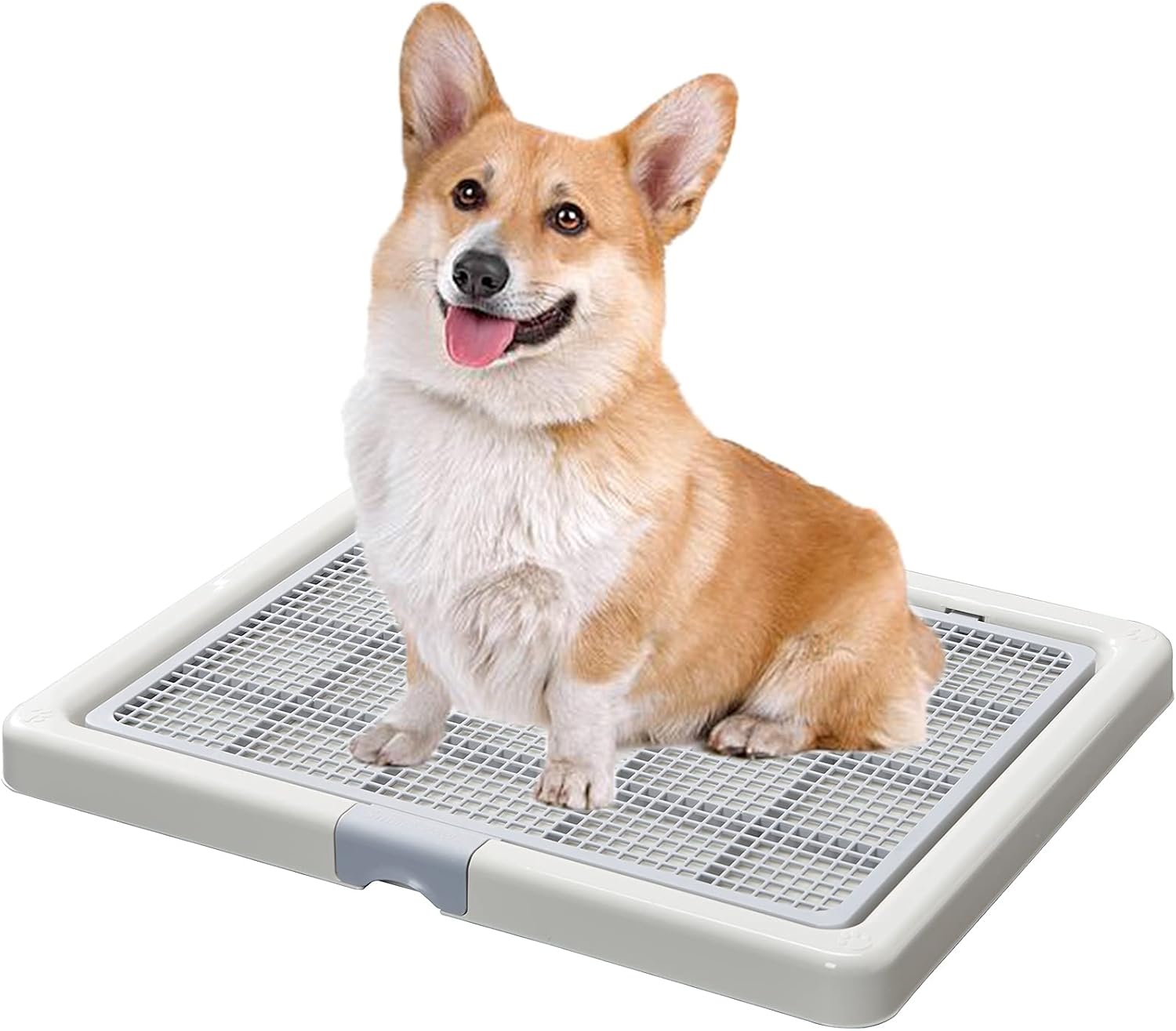 Smart Paws Corgi Potty Training Toilet,French Bulldog Training Tray,Pet Pads Holder,Dog Toilet 65X52CM 25.5x20.4 Inch (Pack of 1)