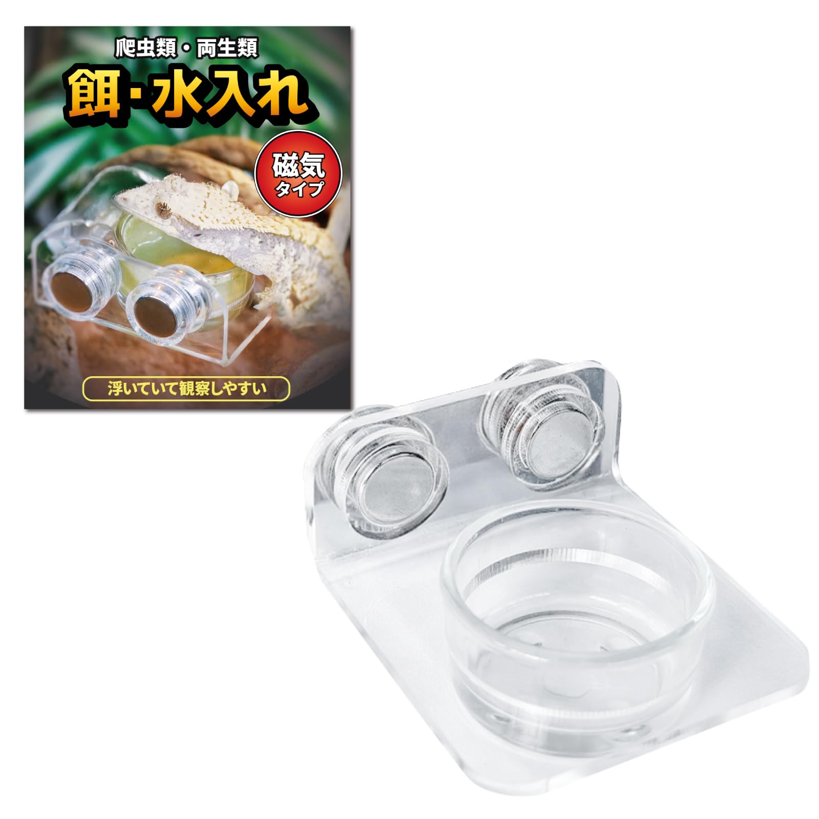 Amazon | 【強力磁石でズレない】 爬虫類 両生類 餌入れ 水入れ 飼育用