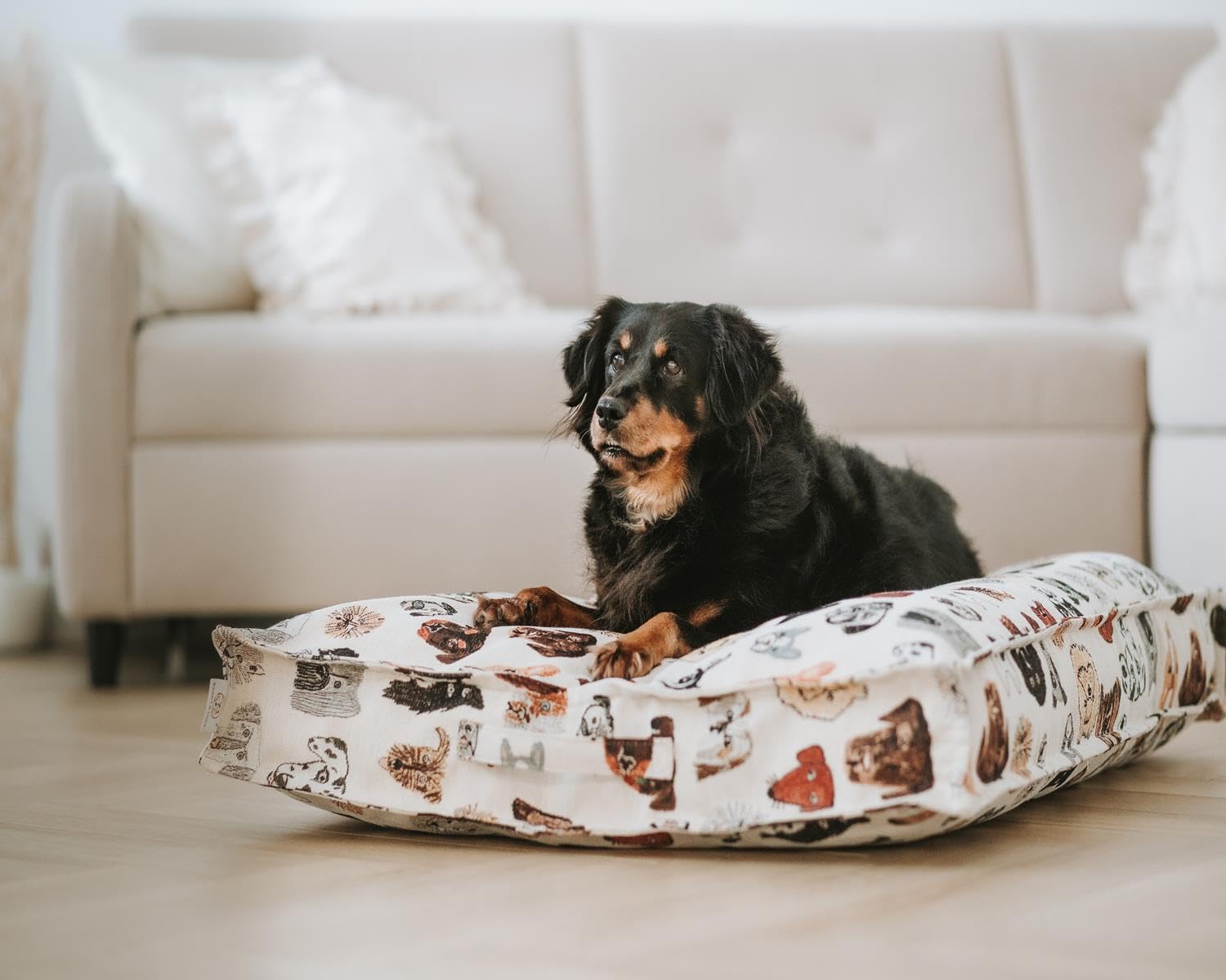 BARRY & LUCY® Hundebett aus Jacquard – Hochwertiges Hundekissen mit abnehmbarem Bezug & Tragegriff stilvolles Design mit Hunde-Motiven in 3 Größen erhältlich – Waschbar & bequem (Orthopädisch, L)