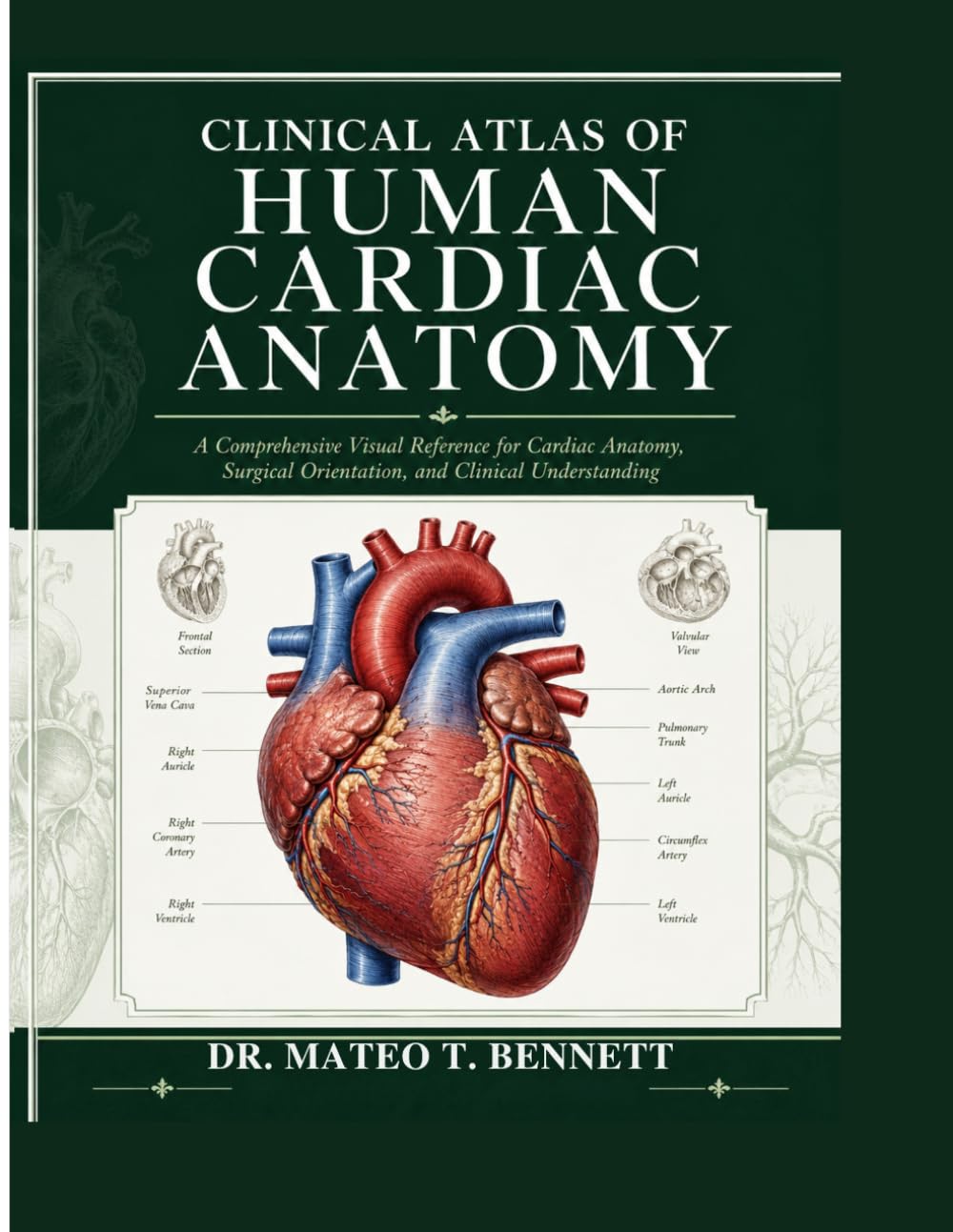 CLINICAL ATLAS OF HUMAN CARDIAC ANATOMY: A Comprehensive Visual Reference for Cardiac Anatomy, Surgical Orientation, and Clinical Understanding