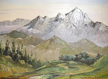 Amazon.co.jp: 真作 絵画 松井貞人 油彩6号 清水平 人気作家 逸品 M74