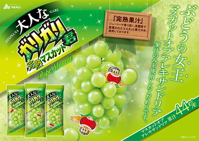 Amazon.co.jp: 赤城乳業 ガリガリ君 5種各3袋 計15袋 アソートセット
