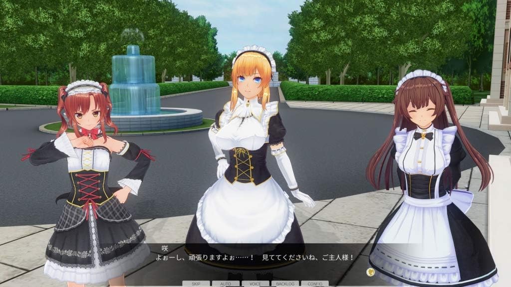 Amazon カスタムオーダーメイド3d2 キャラクターパック 天然サディスティックな小悪魔 アダルトpcゲーム Pcソフト
