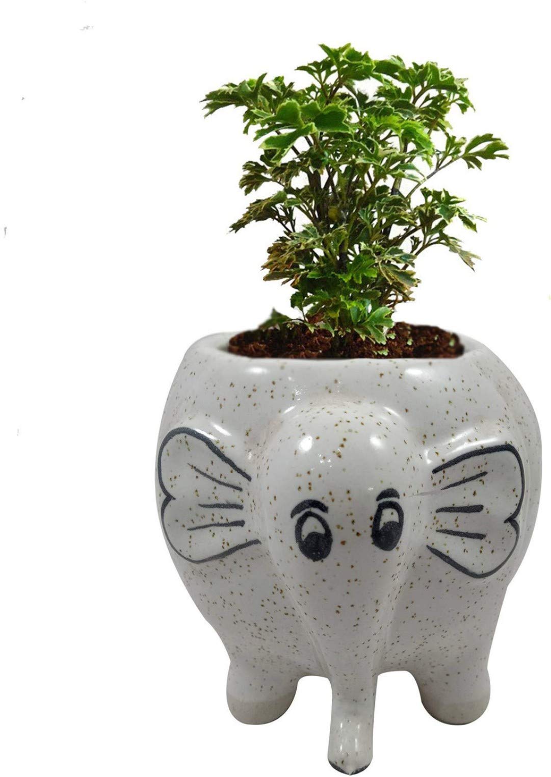 luminescence Elephant Shaped Ceramic Indoor Flower Pot Planter Indoor Outdoor Planter Handicraft Plant Container Set (Ceramic), White Colour Size 6 INCH, Pack of 1 (B09JLZGT5W) Amazon Price History, Amazon Price Tracker