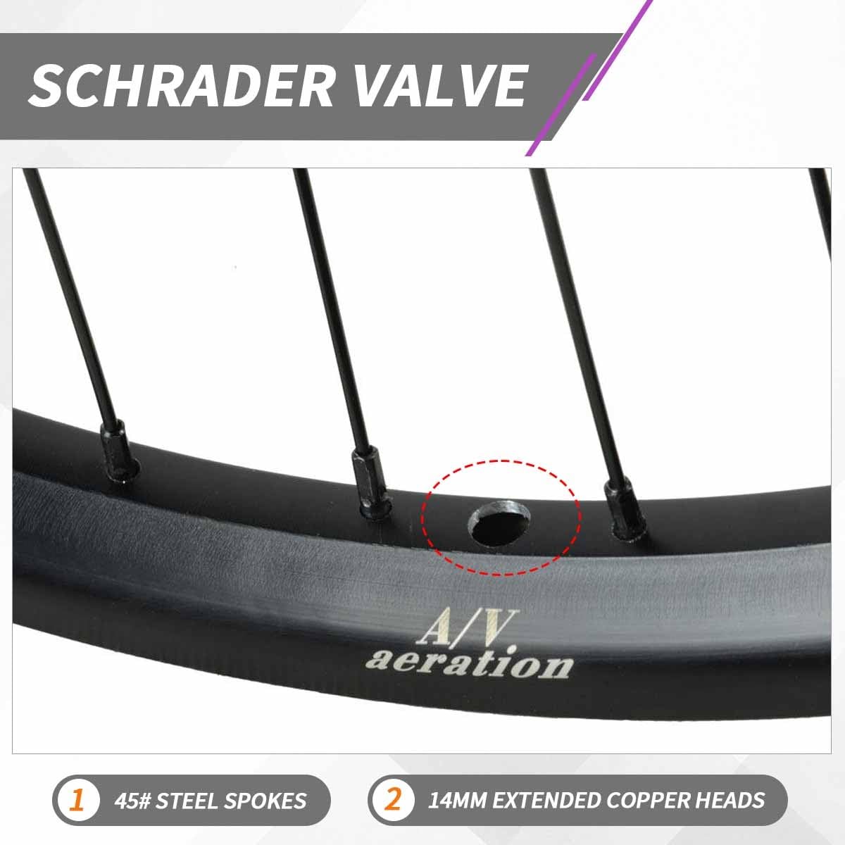 Ruota Anteriore Per Bici Pieghevole 20" Freno A Disco 712g Ruote Con Perno Passante 100×12/15mm Cerchi A Doppia Parete 2 Cuscinetti Sigillati Pneumatici Da 1.5"-2.6"