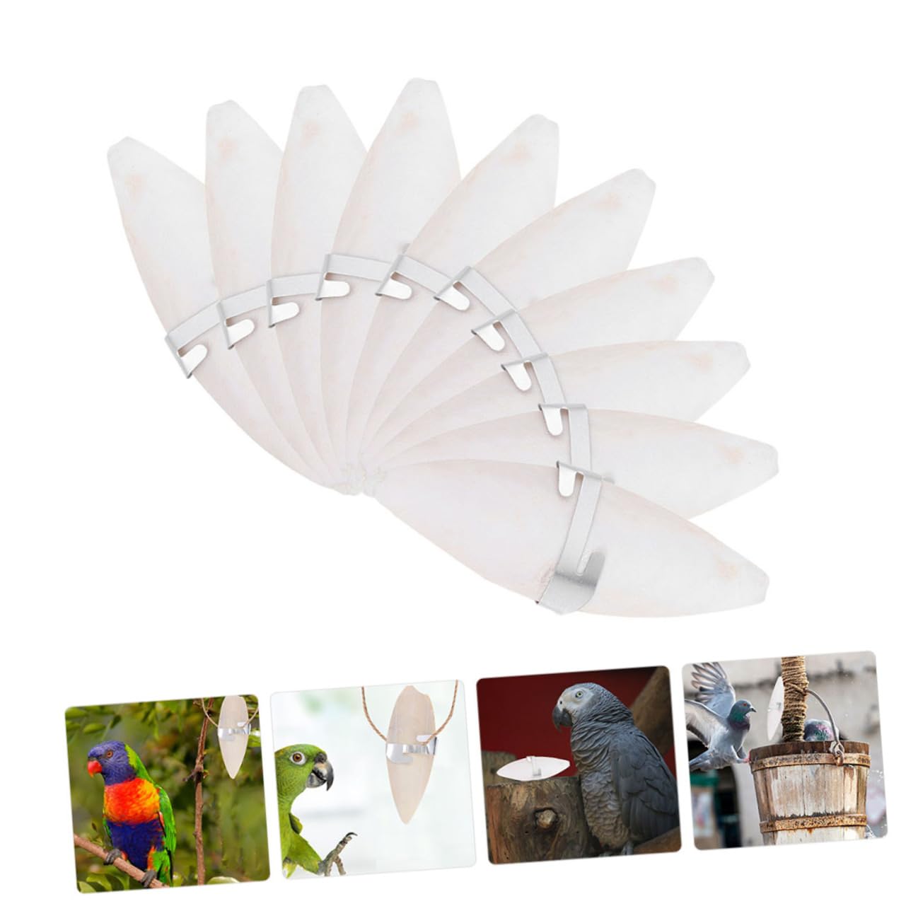 BESPORTBLE 30pièces Jouets à Mâcher pour Oiseaux Accessoires Amusants De Seiche pour Perruches Et Perroquets Stimulez Activité Physique Et Fournit Un Supplément De